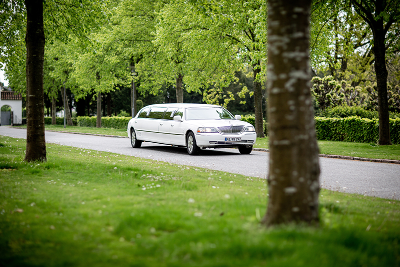 Factors to Consider When Hiring Limousine Services